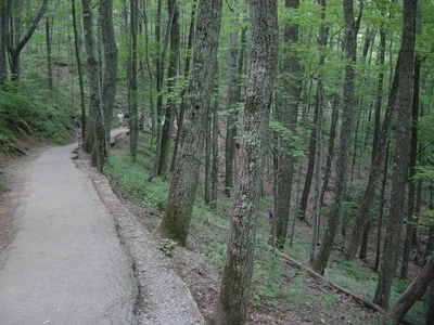 Hiking Laurel Falls - Smoky Mountain National Park - Tennessee