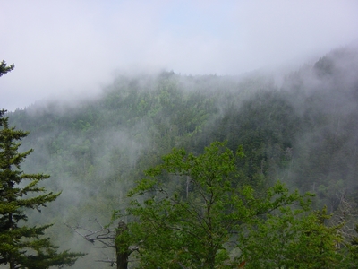 The view from the Mount LeConte trail - Hiking Tennessee