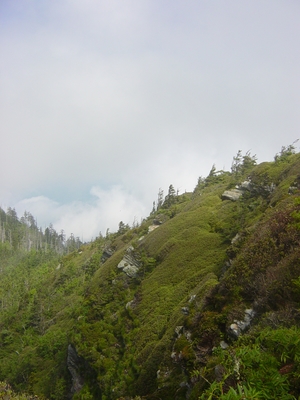 The summit cliffsides on Mount LeConte - Hiking Tennessee