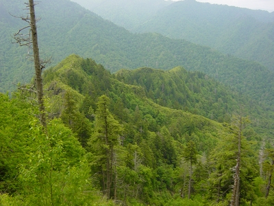 The steepled ridge lines of Mount LeConte - Smoky Mountain National Park