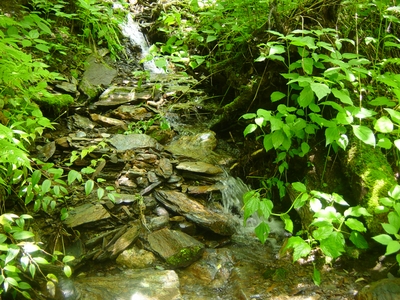 A pretty stream on Mount LeConte - Tennessee