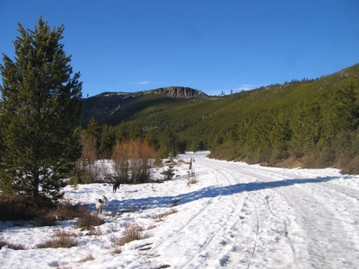 The snowy road going to Tumalo Creek Falls - Hiking Oregon