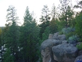 Meadow Camp Climbing - Bend, Oregon