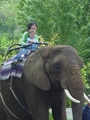 Tanis and Rachel riding on Alice at Wildlife Safari - Winston, Oregon